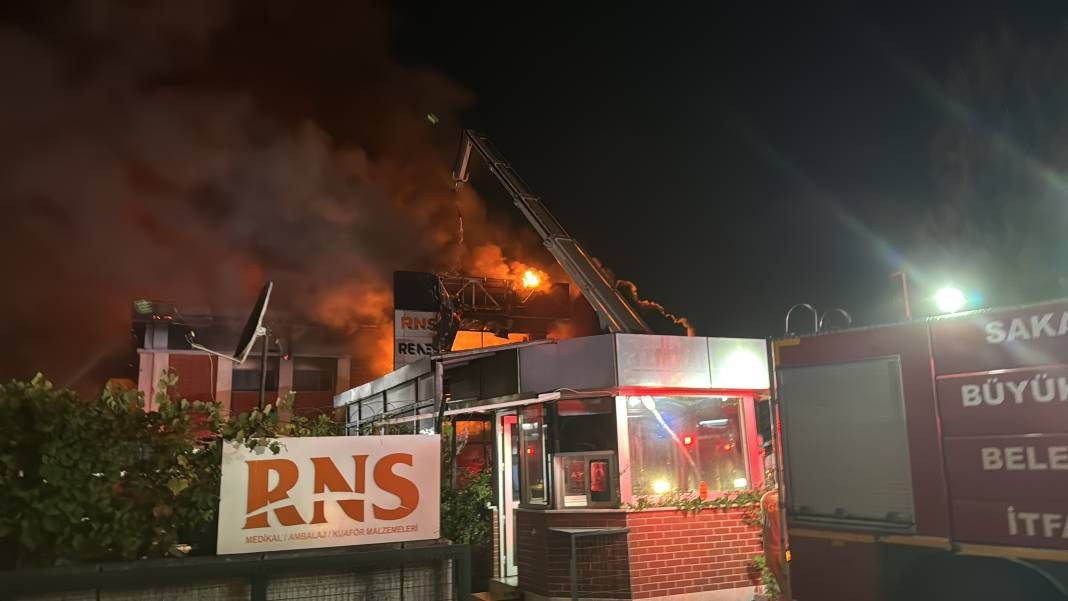 Sakarya’da kozmetik fabrikasında yangın - Resim: 27